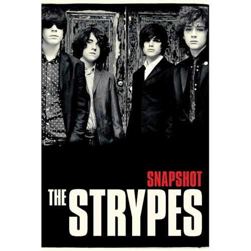 STRYPES - Official (Out Of Print Posters) Snapshot / Poster