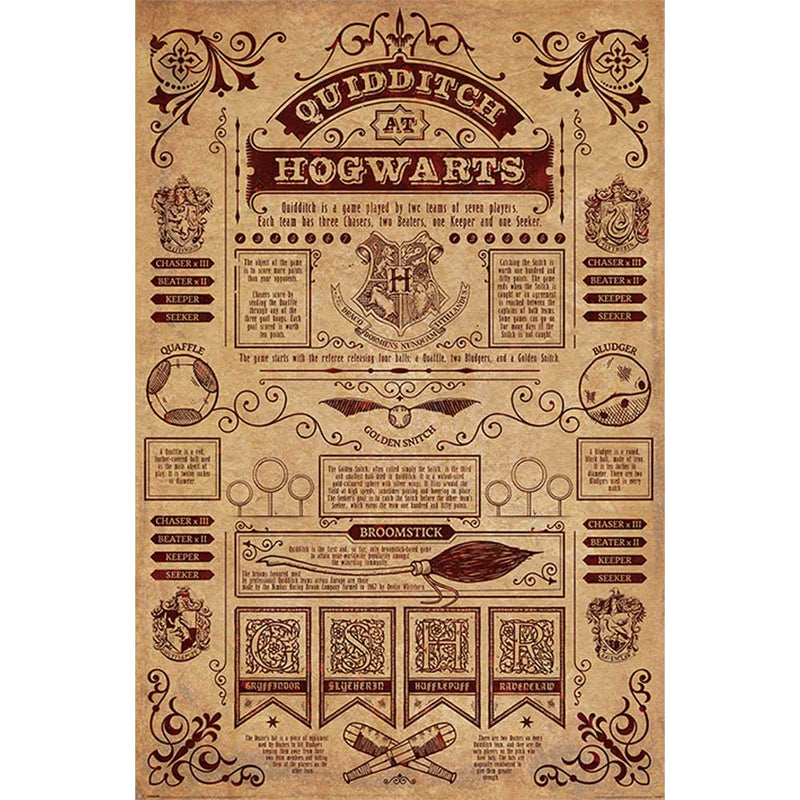 HARRY POTTER - Official Quidditch At Hogwarts / Poster